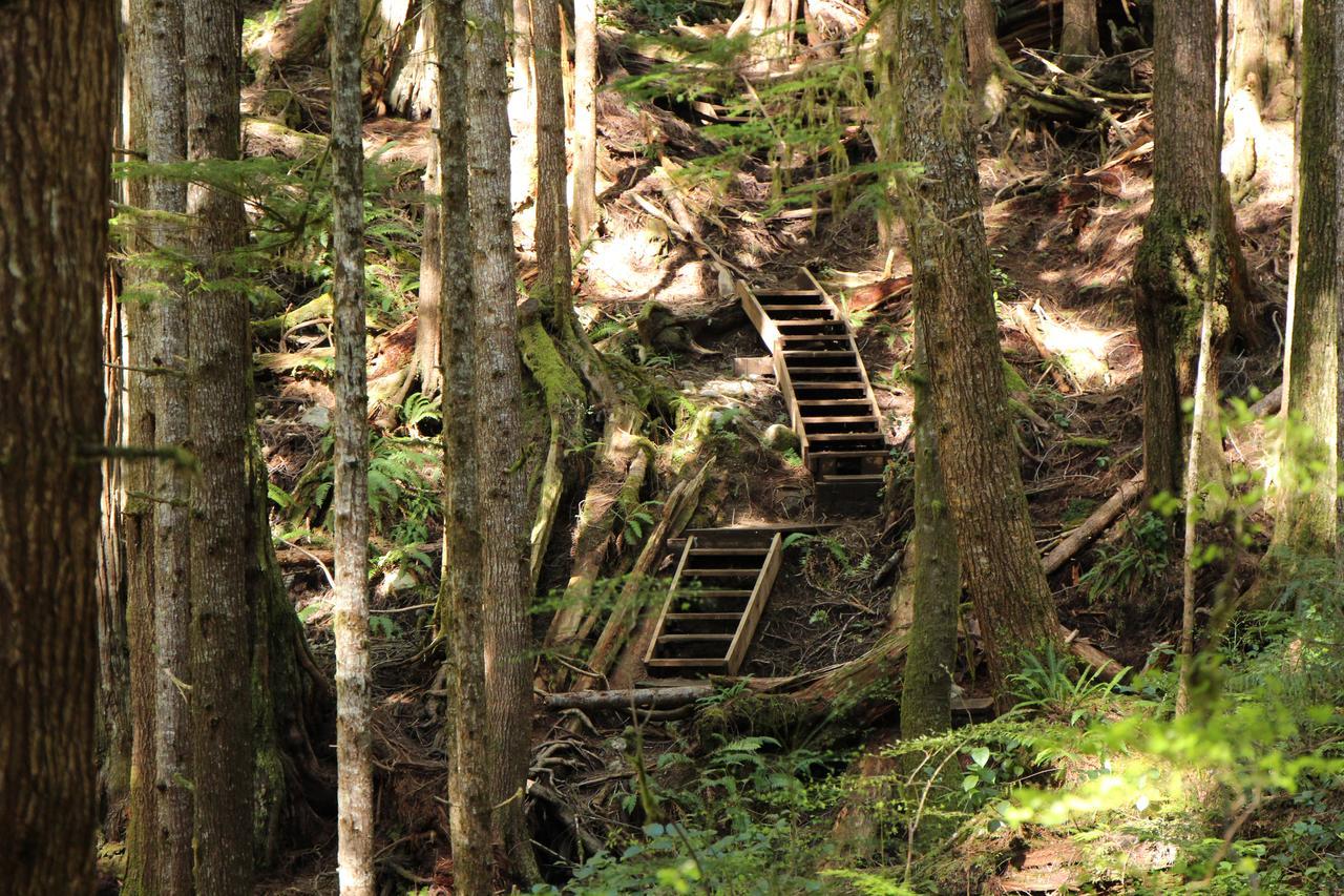 Tilby'S Rainbow Cottage Port Renfrew Buitenkant foto